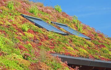 Llanelly living roof systems